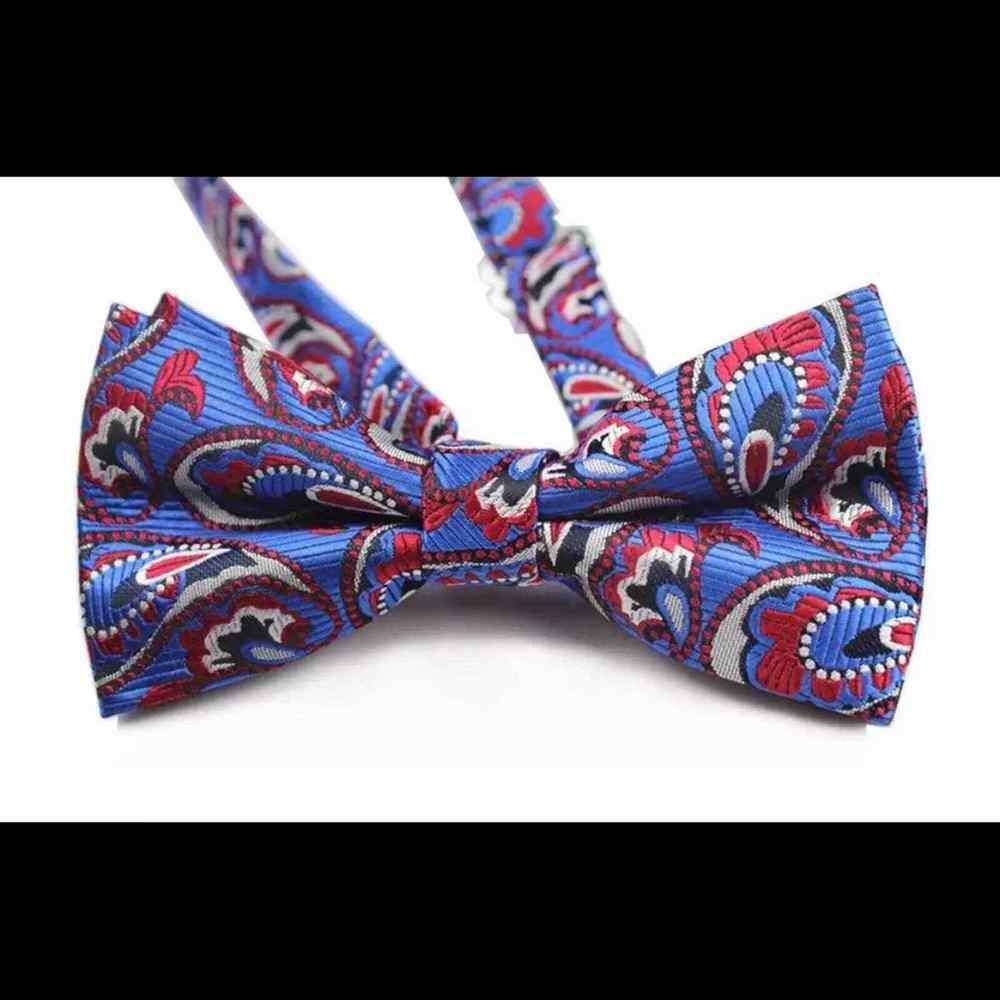 Mens Bow Tie Blue Multicolored Paisley Bowtie